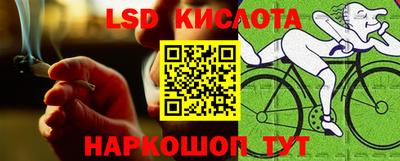 гашик Кингисепп
