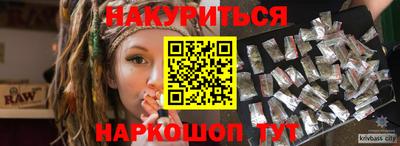 гашик Кингисепп