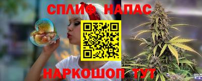 гашик Кингисепп