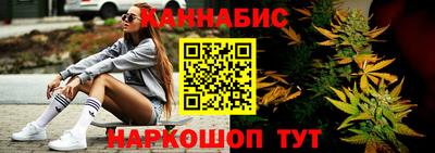 гашик Кингисепп