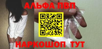 гашик Кингисепп