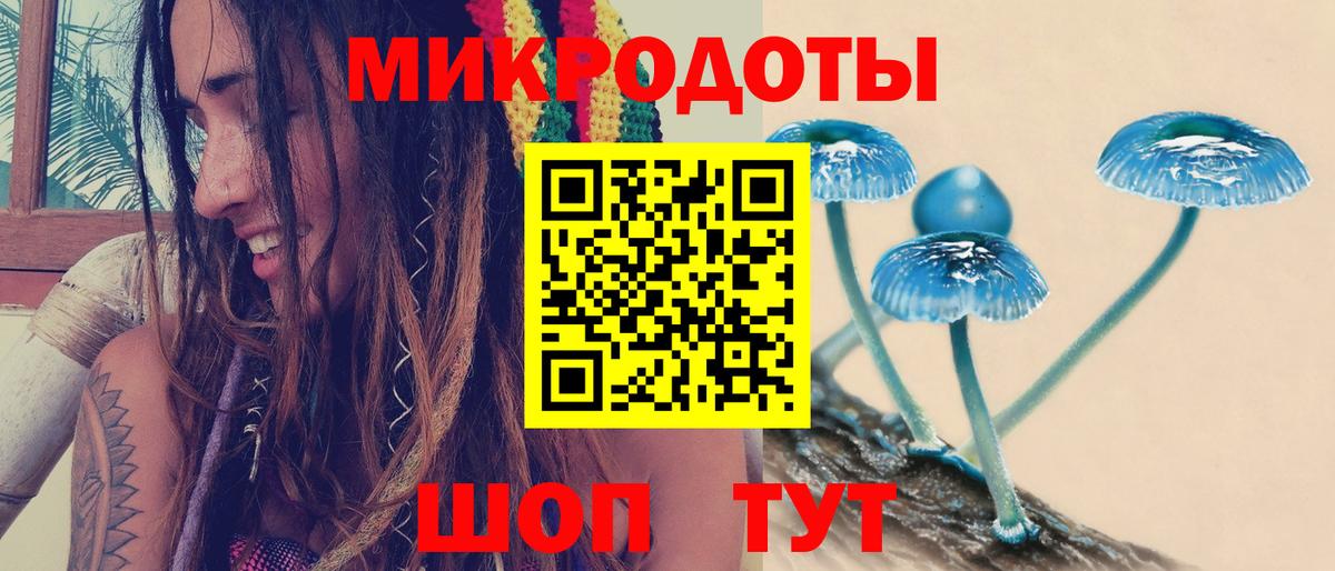 Кострома  Псилоцибиновые грибы мухоморы  Вход с VPN 